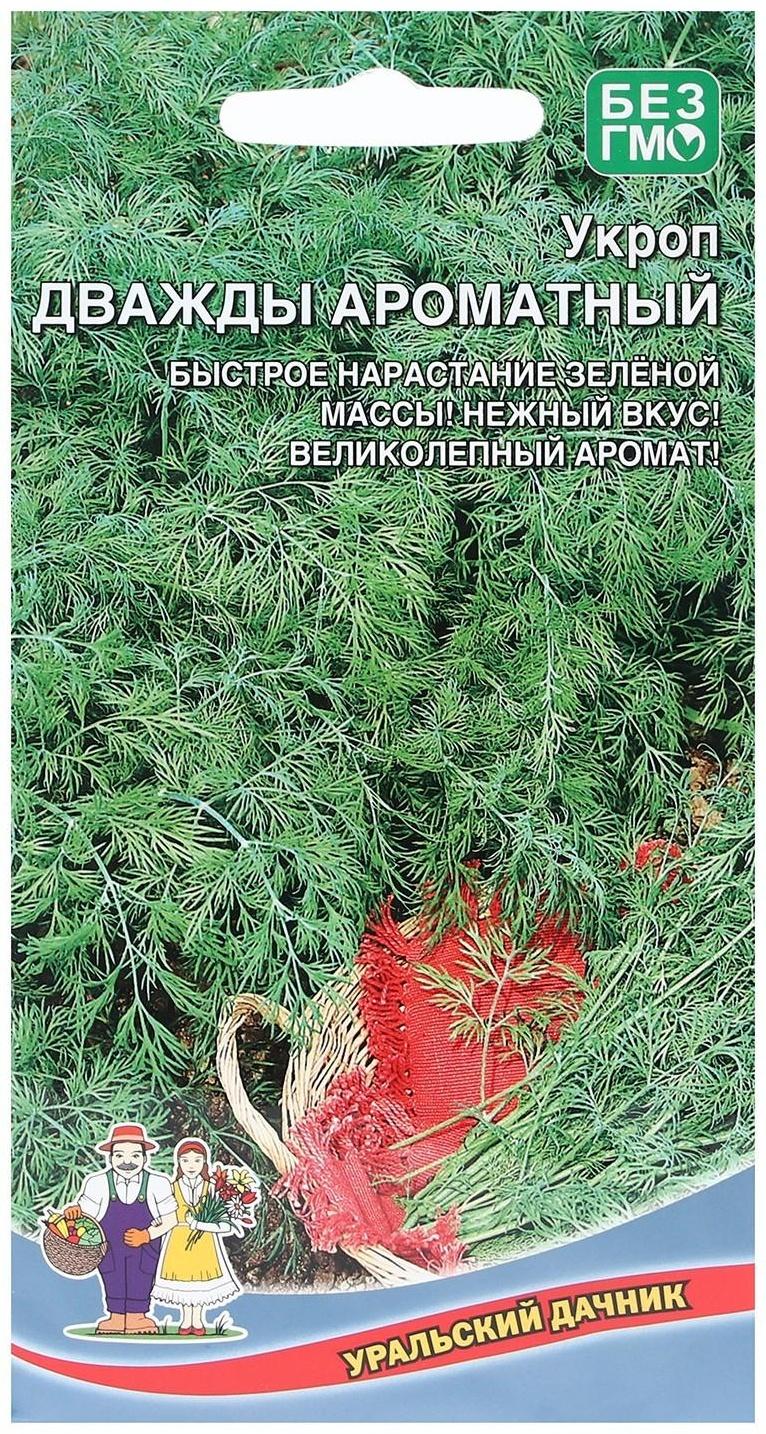 Семена Укроп 