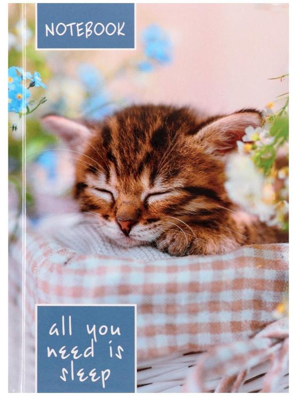 Блокнот А6, 64 листа в клетку 