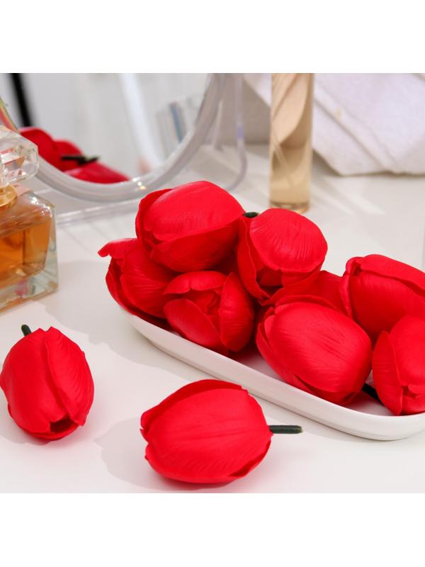 Мыльный тюльпан, красный