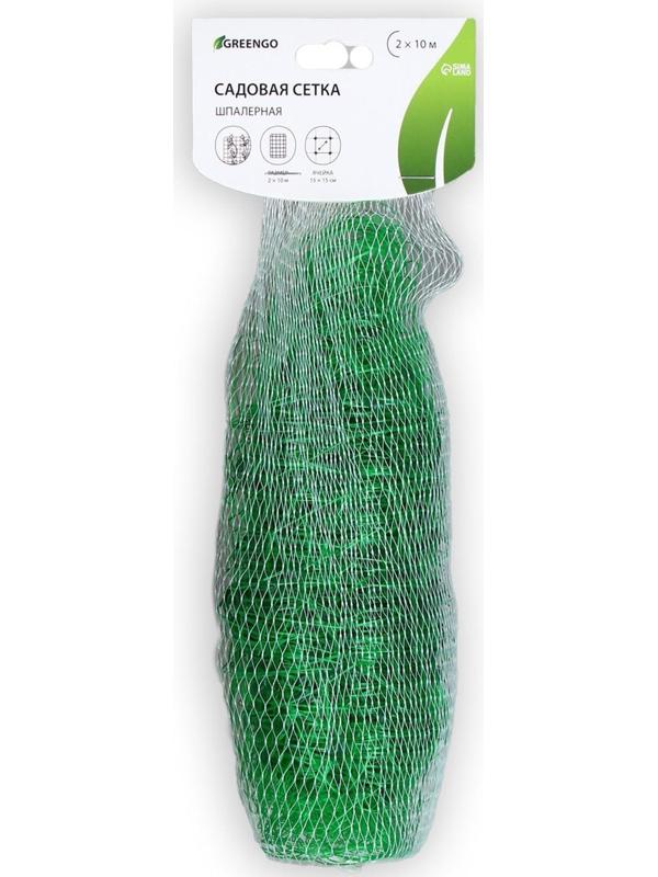 Сетка садовая, шпалерная, 10 × 2 м, ячейка 15 × 15 см