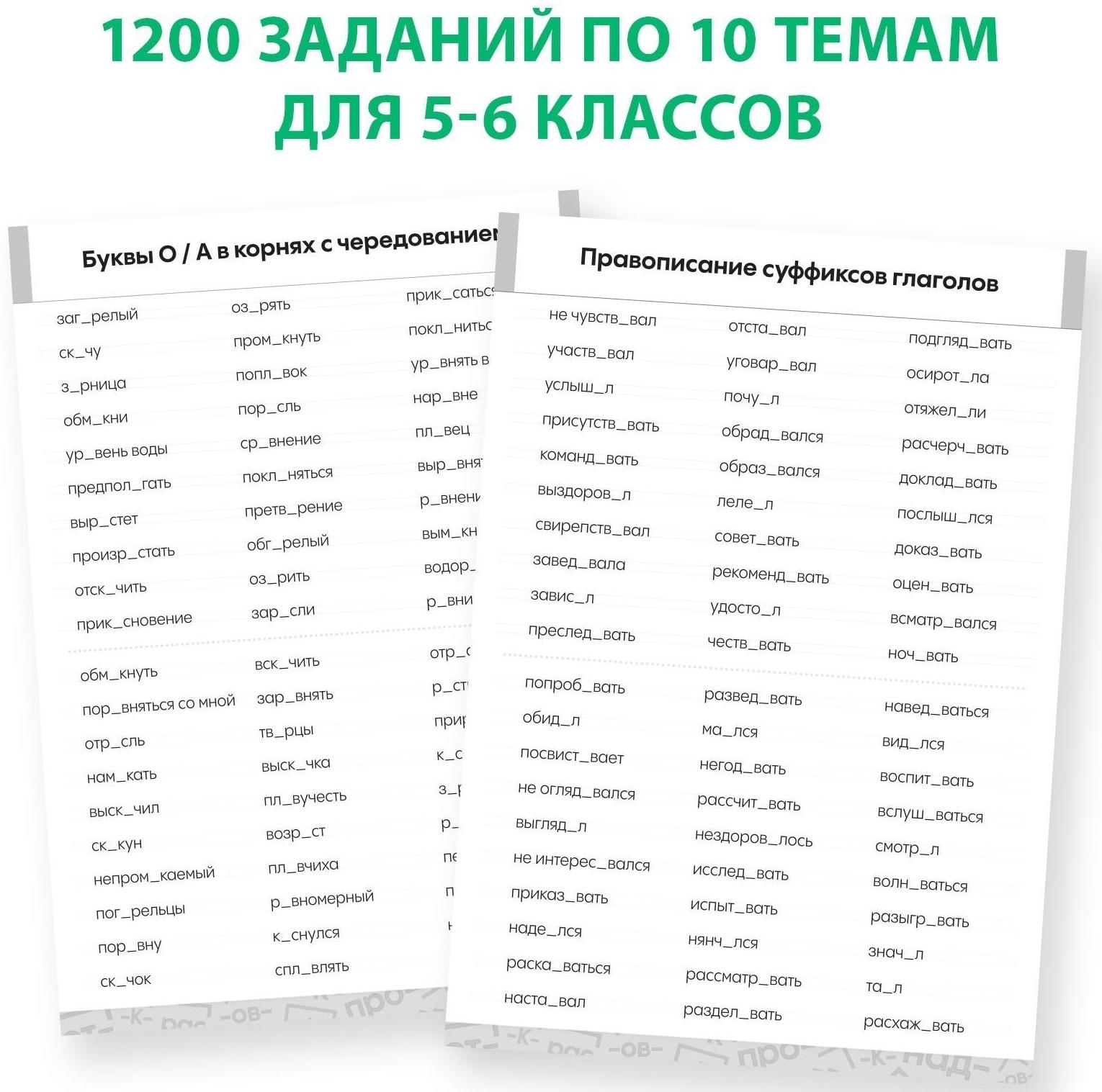 Обучающая книга «Тренажёр по русскому языку 5-6 класс», 102 листа