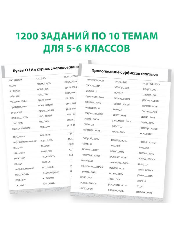 Обучающая книга «Тренажёр по русскому языку 5-6 класс», 102 листа