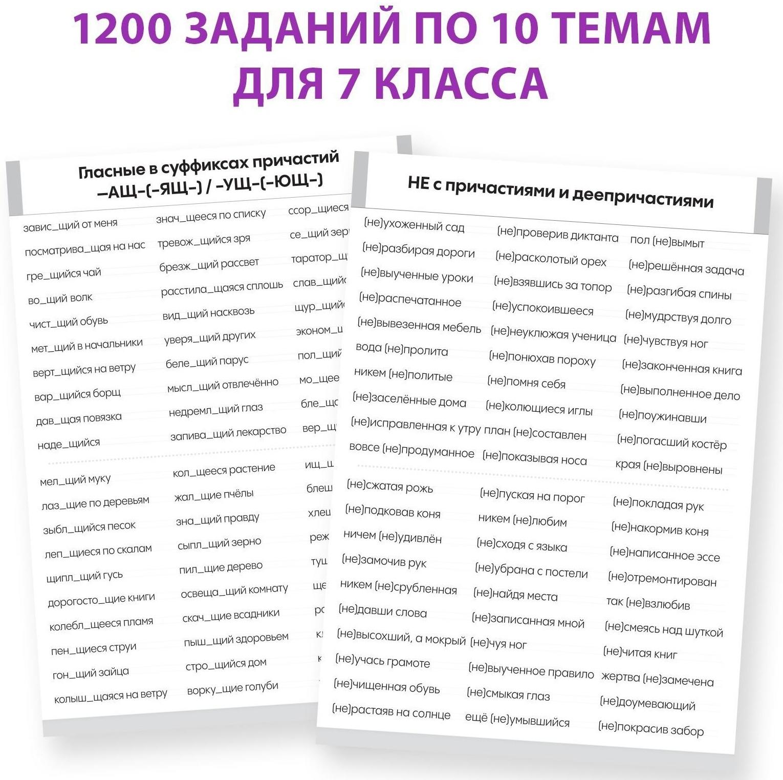 Обучающая книга «Тренажёр по русскому языку 7 класс», 102 листа