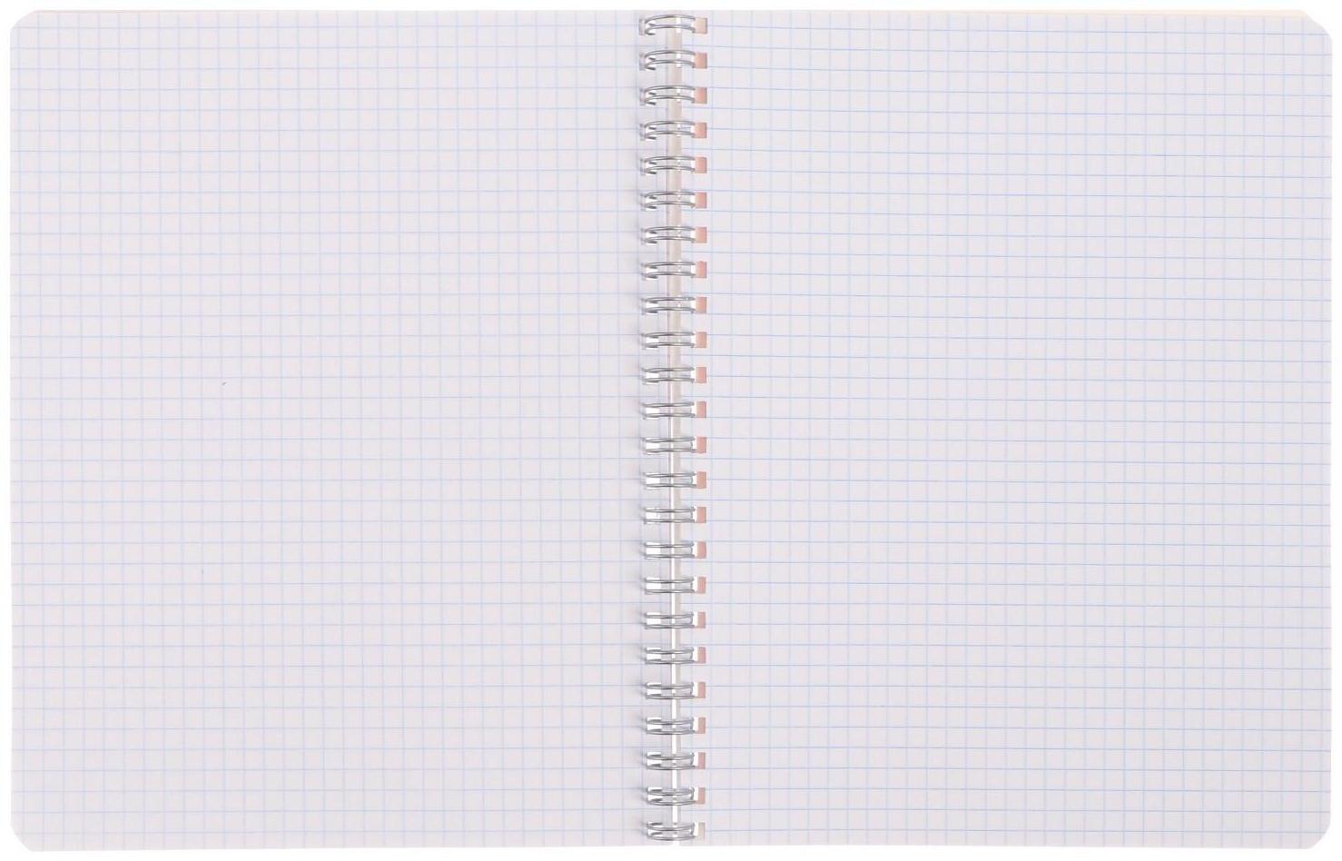 Тетрадь 48 листов в клетку на гребне 