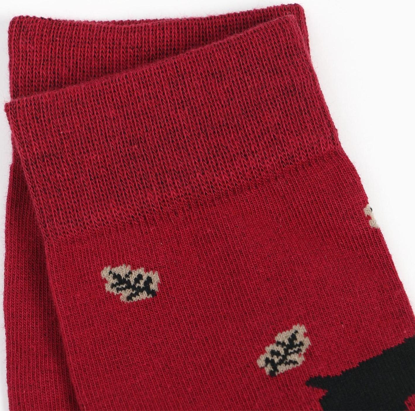 Набор носков мужских (2 пары), цвет бордовый/чёрный, размер 42-43