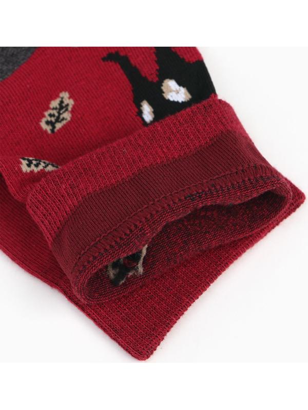 Набор носков мужских (2 пары), цвет бордовый/чёрный, размер 42-43