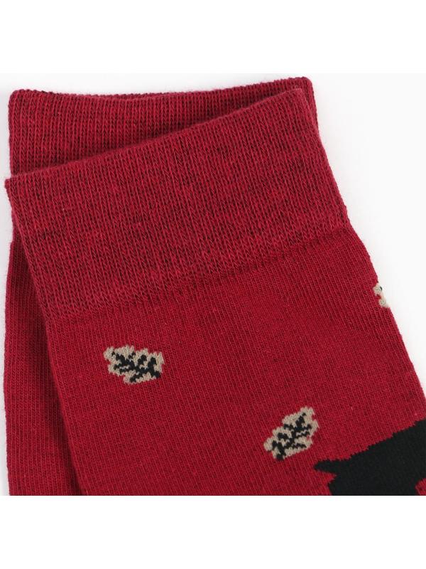 Набор носков мужских (2 пары), цвет бордовый/чёрный, размер 42-43