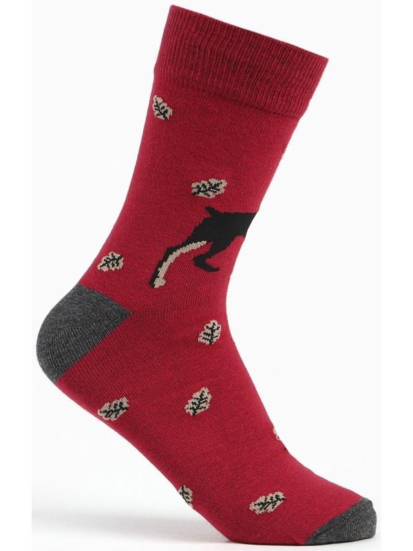 Набор носков мужских (2 пары), цвет бордовый/чёрный, размер 42-43