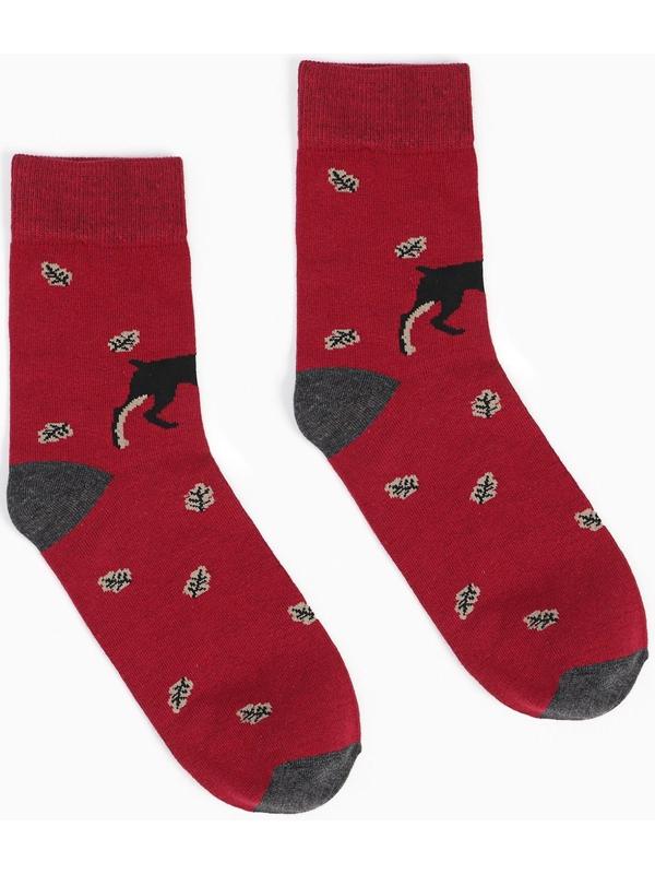 Набор носков мужских (2 пары), цвет бордовый/чёрный, размер 42-43