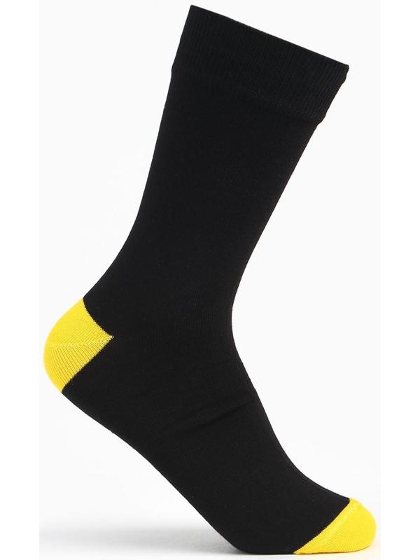 Набор носков мужских (2 пары), цвет синий/чёрный, размер 42-43