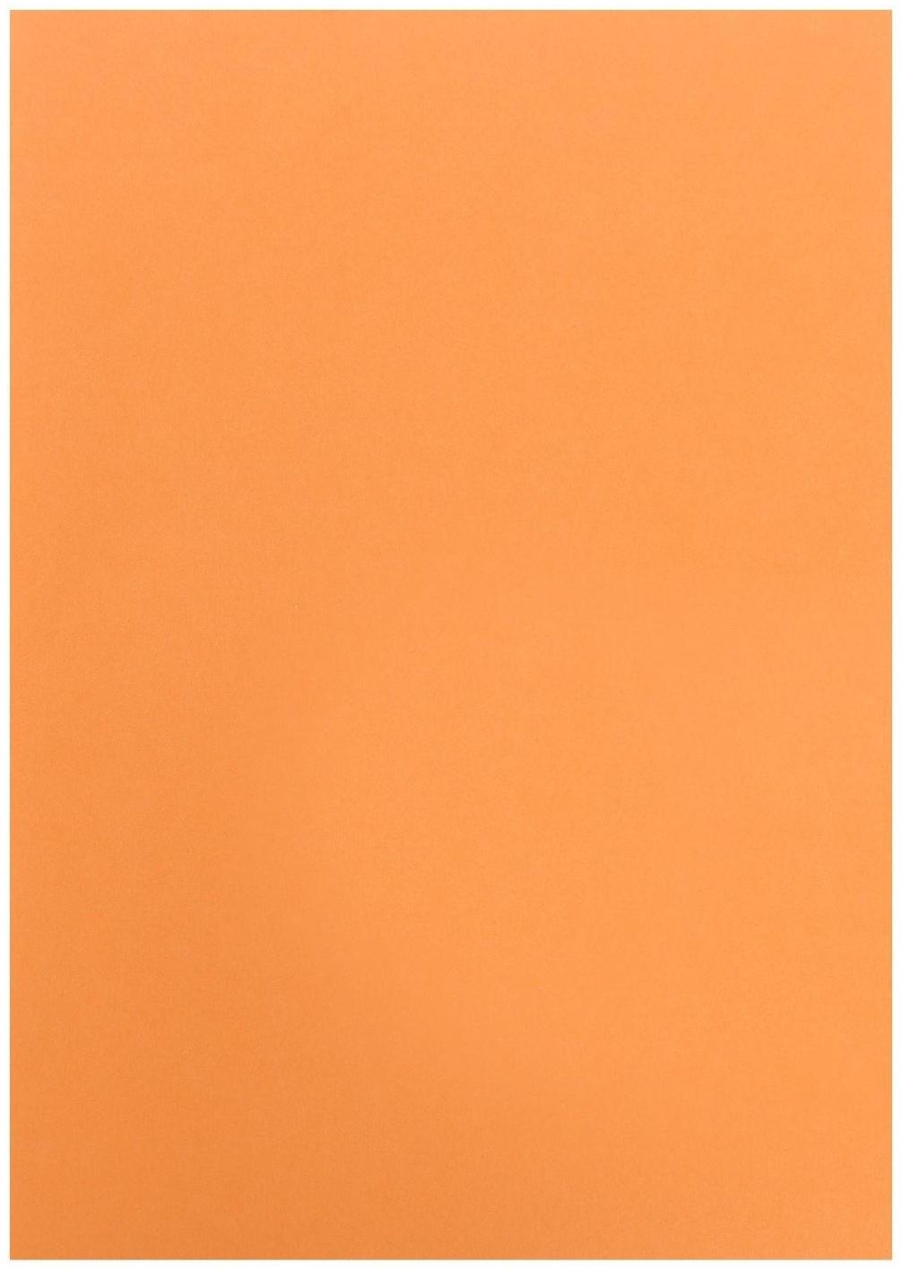 Бумага цветная А4 500л Calligrata Пастель + интенсив МИКС 10цв 80г/м2