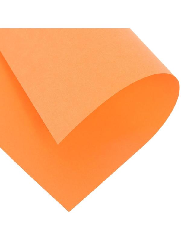 Бумага цветная А4 500л Calligrata Пастель + интенсив МИКС 10цв 80г/м2