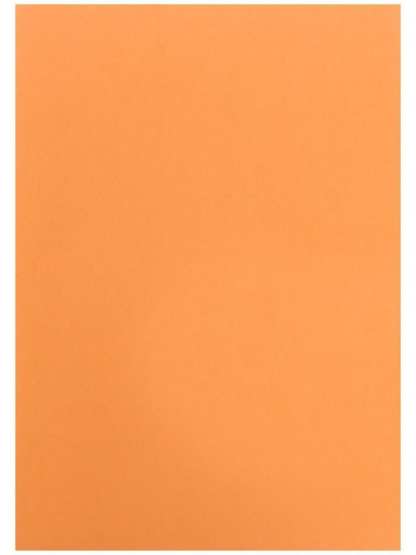 Бумага цветная А4 500л Calligrata Пастель + интенсив МИКС 10цв 80г/м2