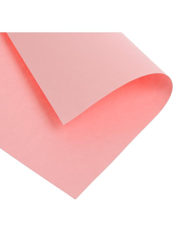 Бумага цветная А4 100л Calligrata Пастель + интенсив + неон + умеренный МИКС 20цв 80г/м2