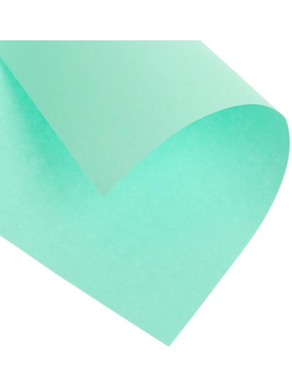 Бумага цветная А4 100л Calligrata Умеренный интенсив Зеленый 80г/м2