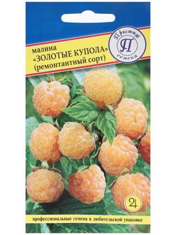 Семена Малина ремонтантная 