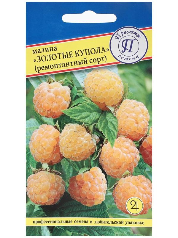 Семена Малина ремонтантная 