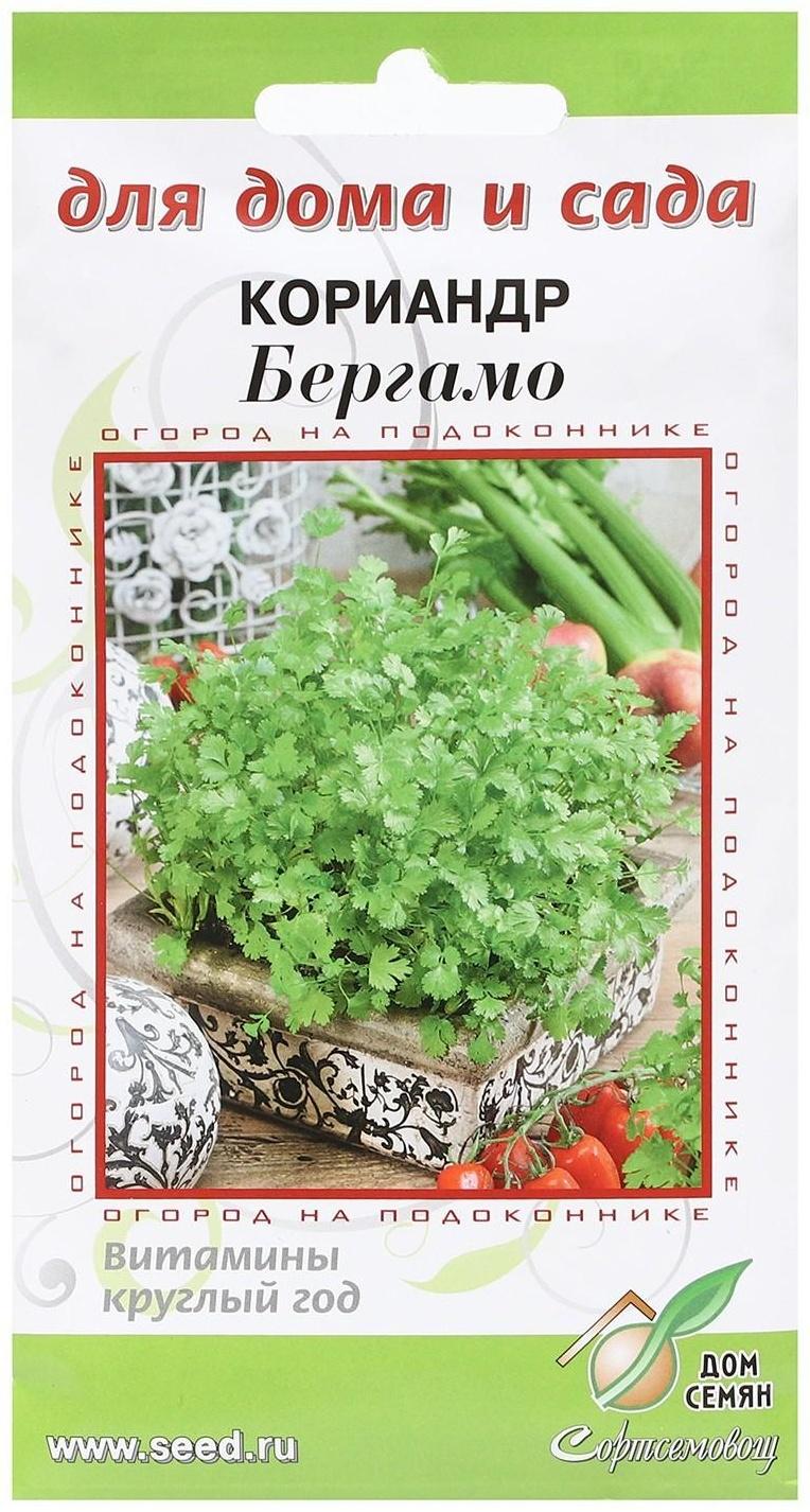 Семена Кориандр 