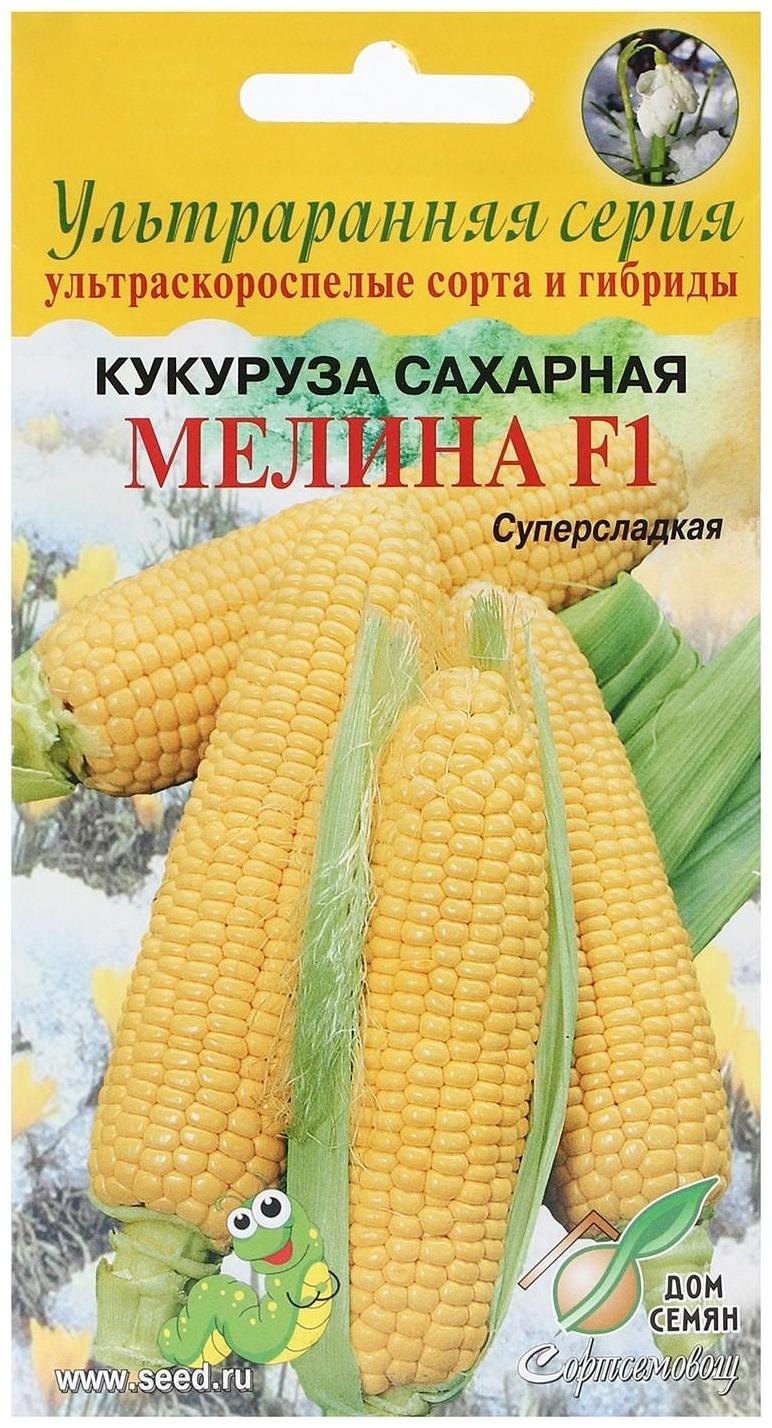 Семена Кукуруза 