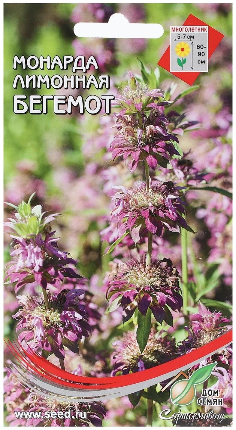Семена Монарда лимонная 
