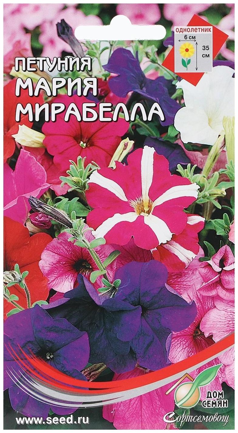 Семена Петуния 