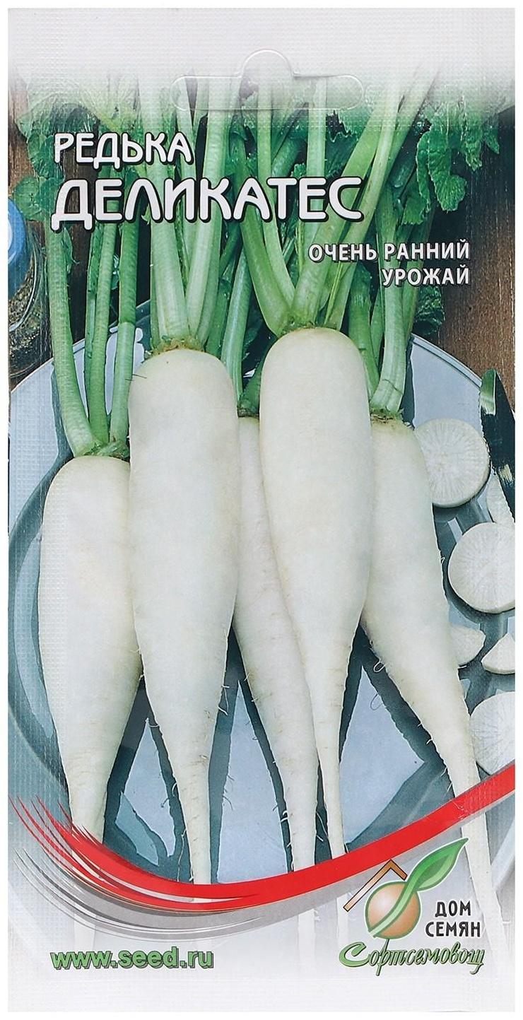 Семена Редька 