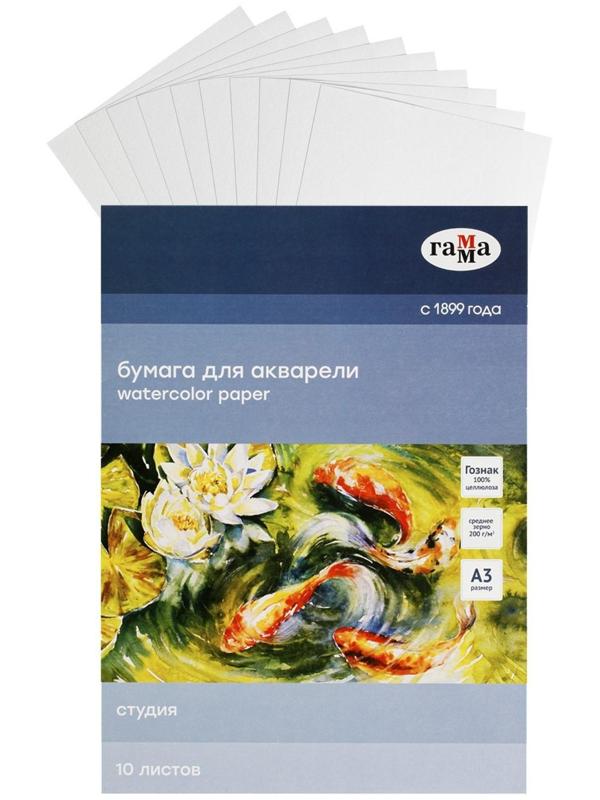 Бумага для акварели в папке А3, 10 листов, Гамма 