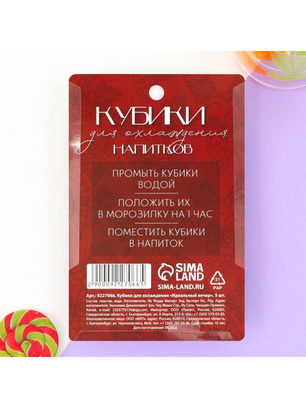Кубики для охлаждения «Идеальный вечер», 5 шт.