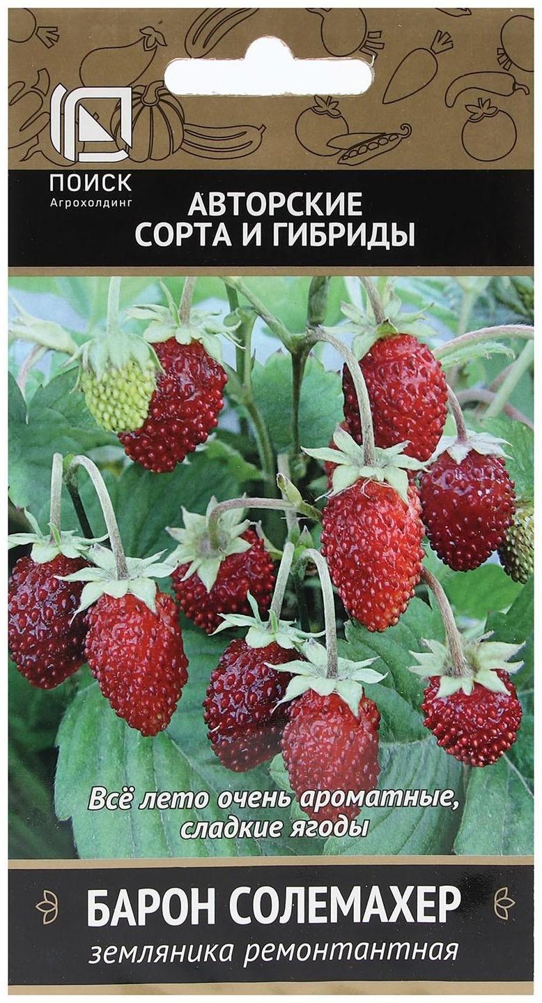 Семена Земляника ремонтантная 