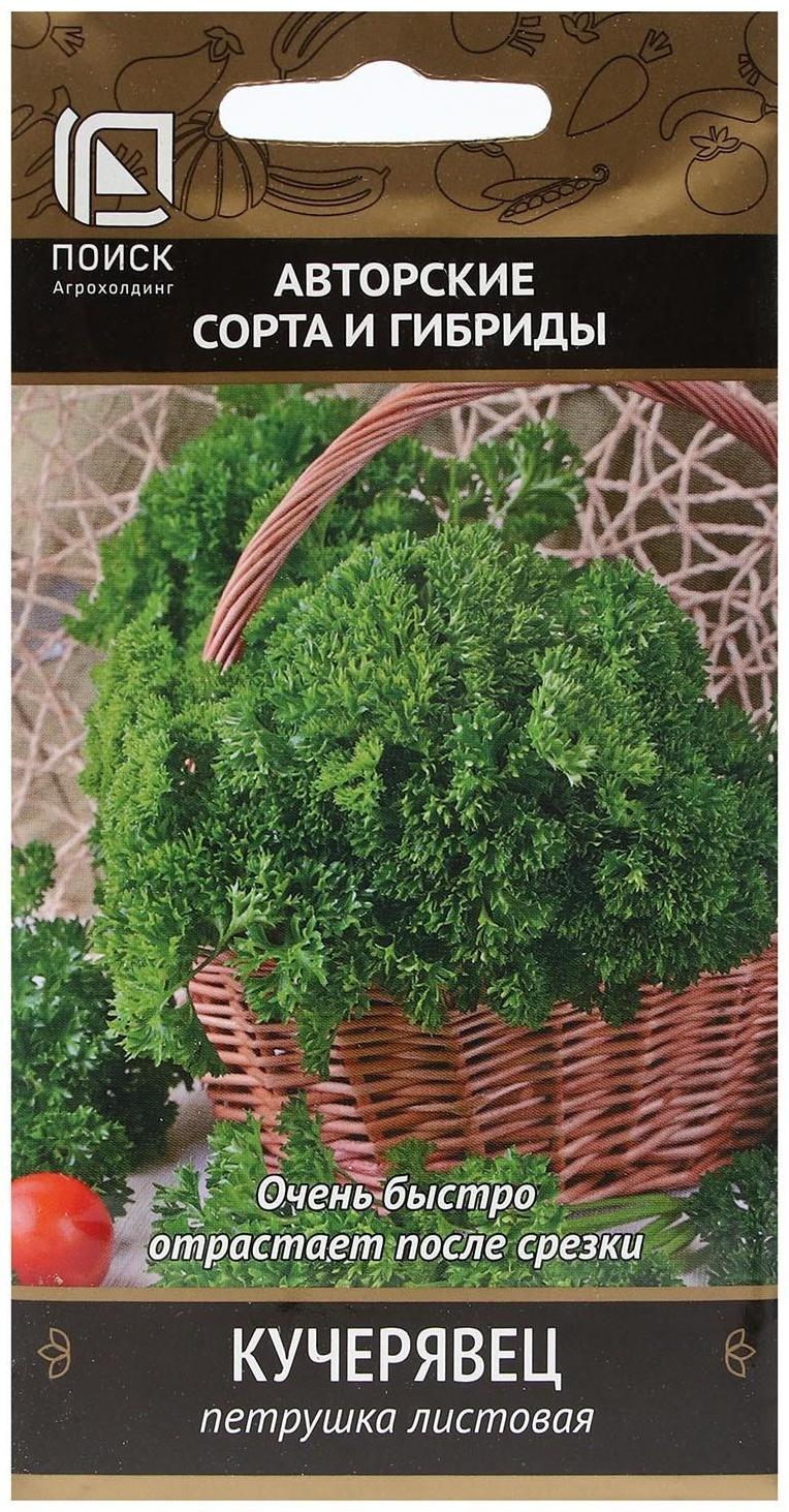 Семена Петрушка 