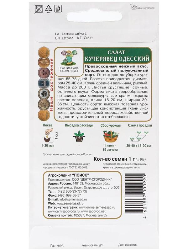 Семена Салат 