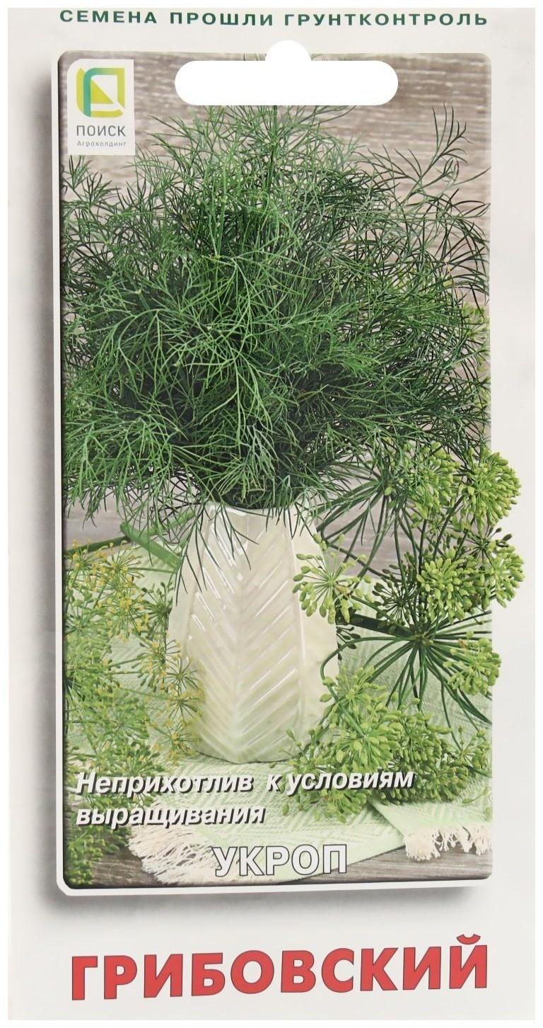 Семена Укроп 