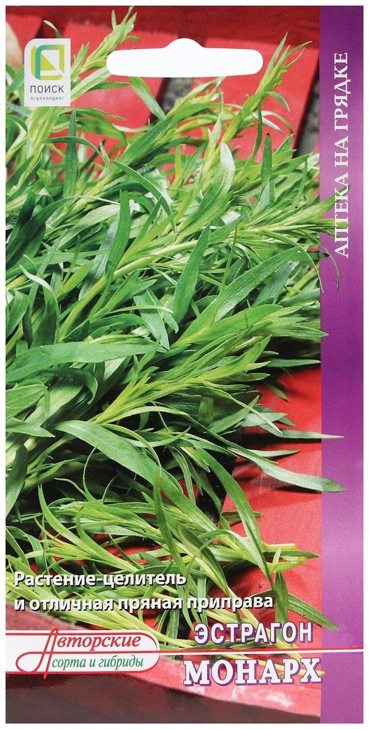 Семена Эстрагон 