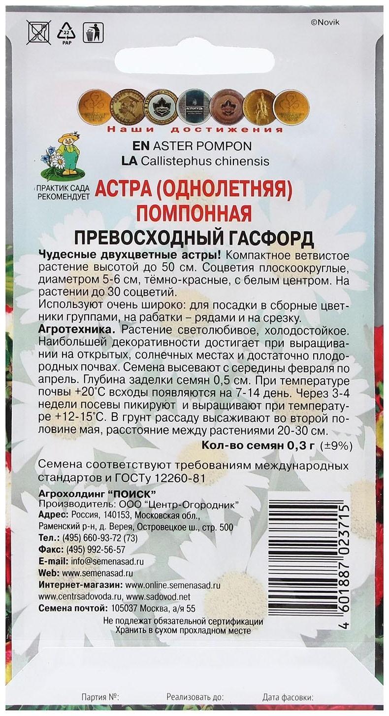 Семена цветов Астра помпонная 