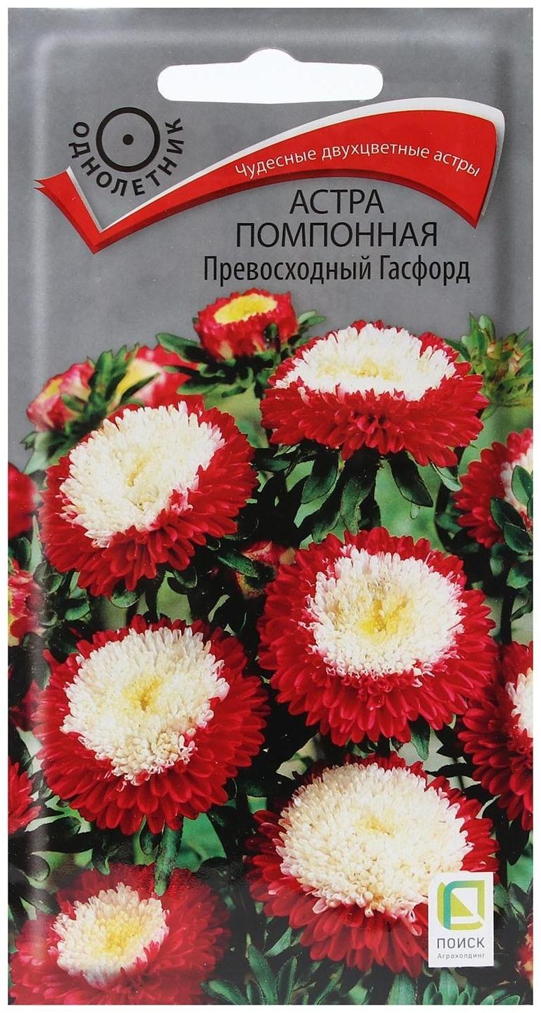 Семена цветов Астра помпонная 