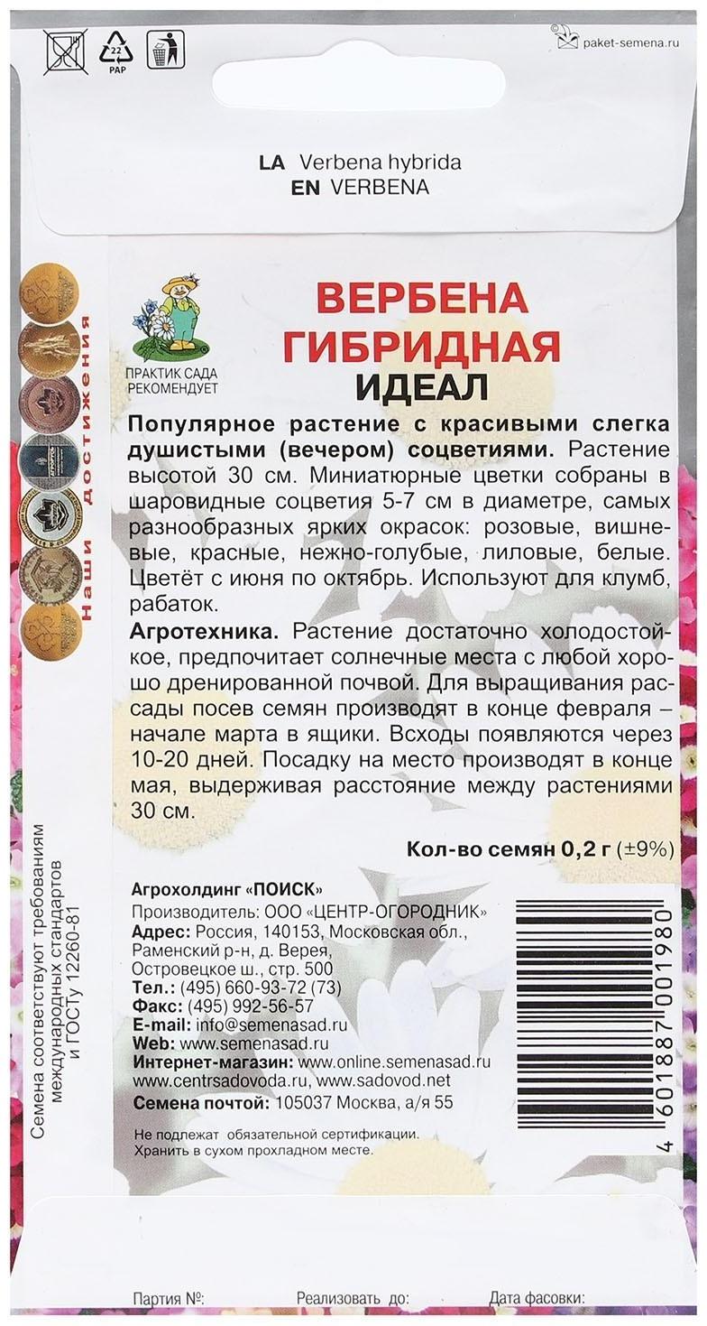 Семена цветов Вербена 