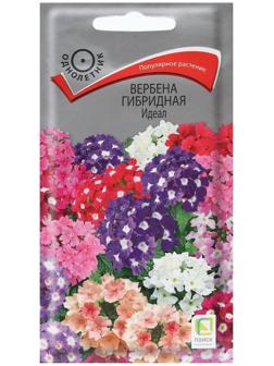 Семена цветов Вербена 