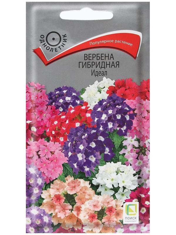 Семена цветов Вербена 