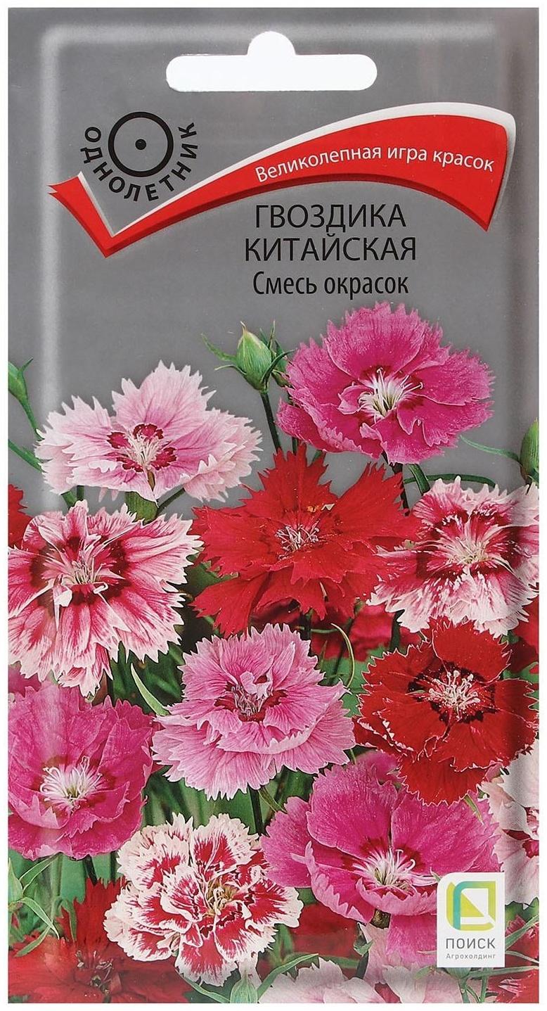 Семена цветов Гвоздика 