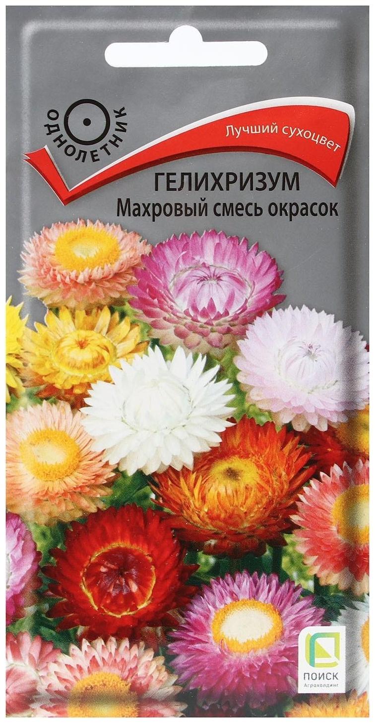 Семена цветов Гелихризум 