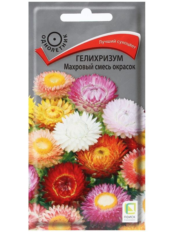Семена цветов Гелихризум 
