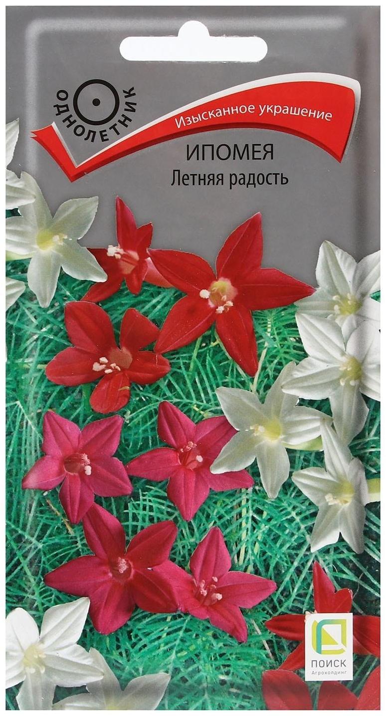 Семена цветов Ипомея 