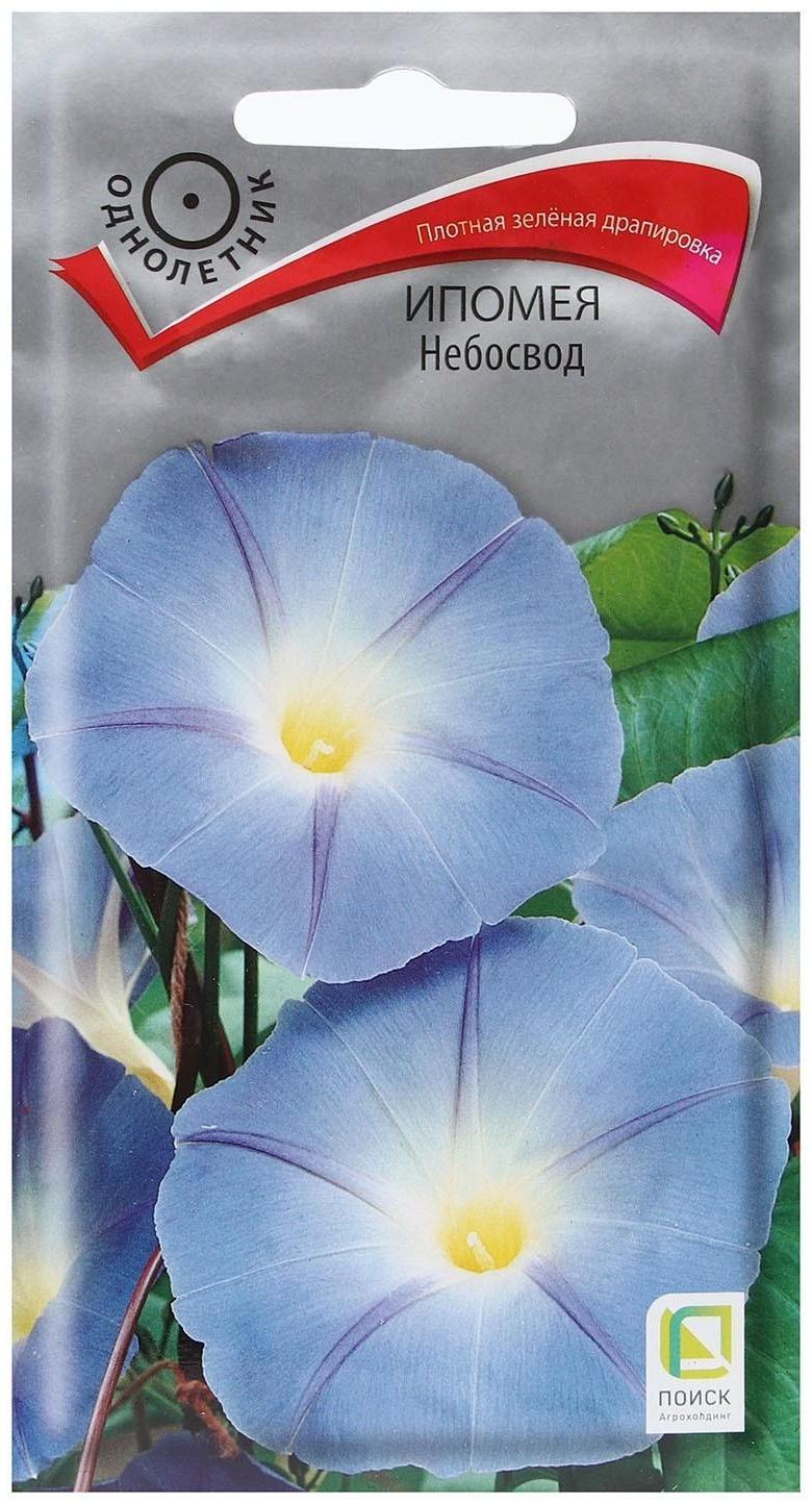 Семена цветов Ипомея 