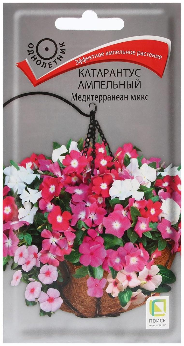 Семена цветов Катарантус ампельный 
