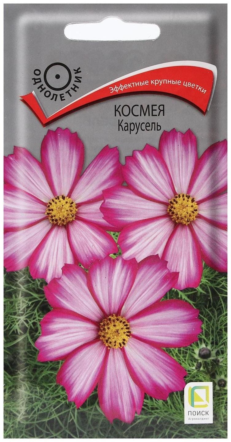 Семена цветов Космея 