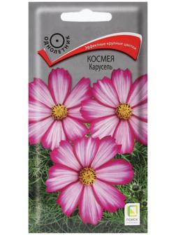 Семена цветов Космея 