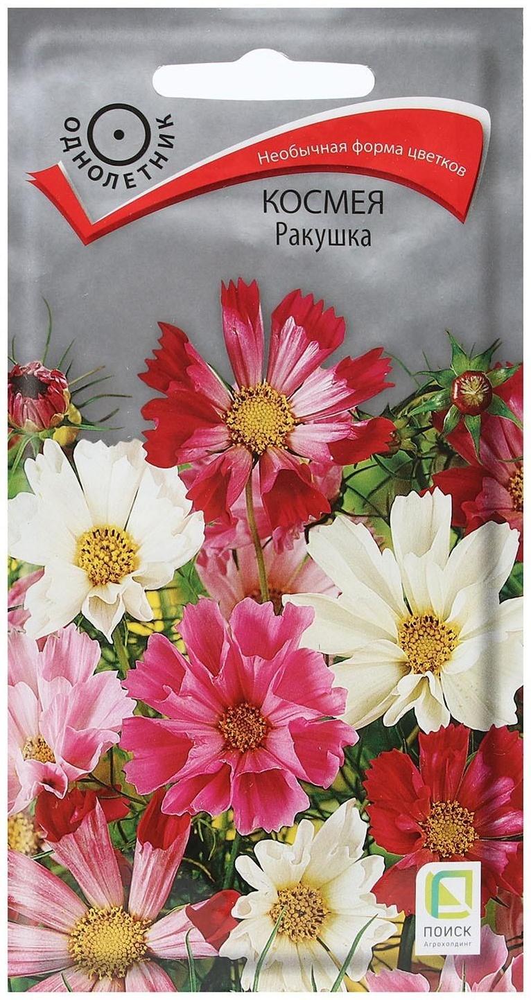 Семена цветов Космея 