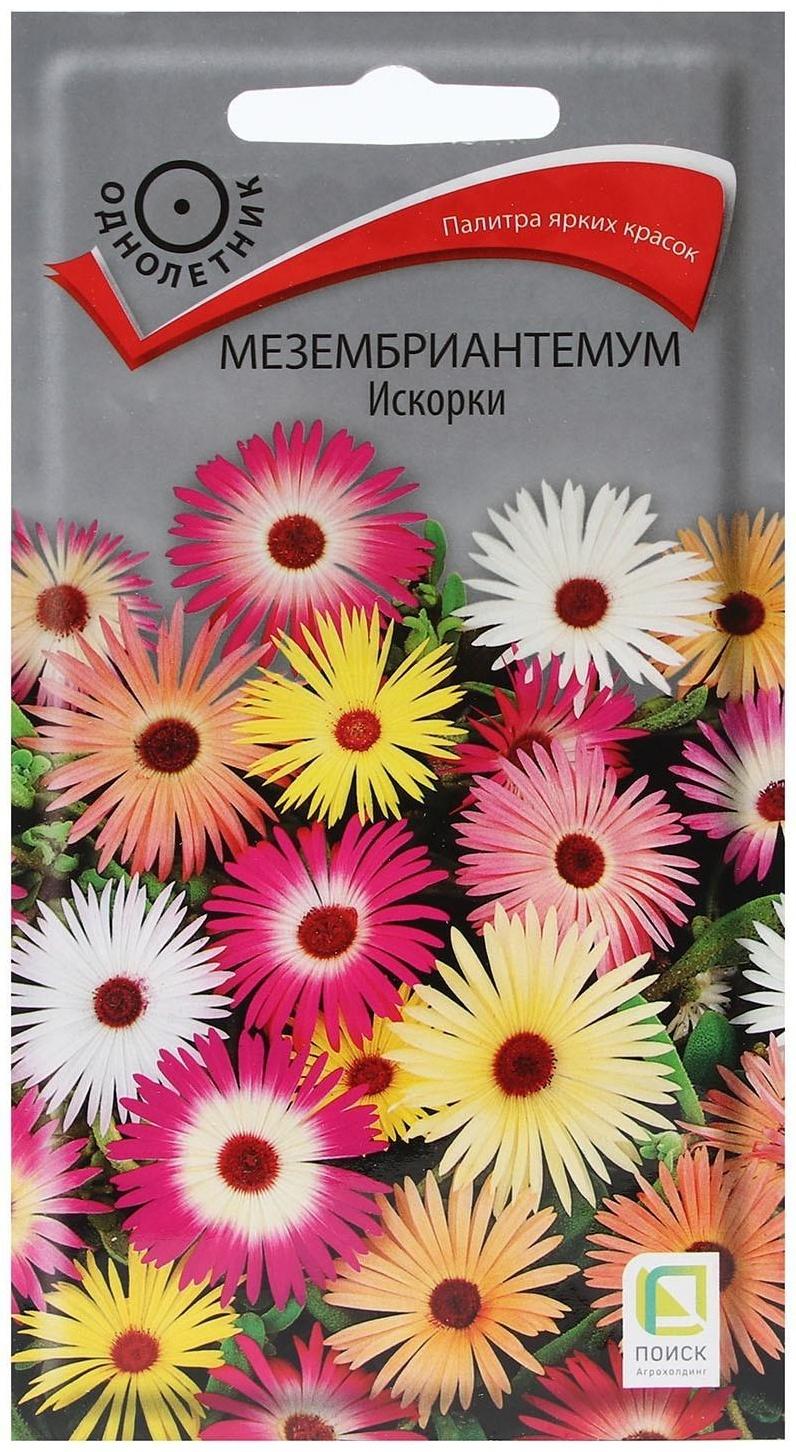 Семена цветов Мезембриантемум 