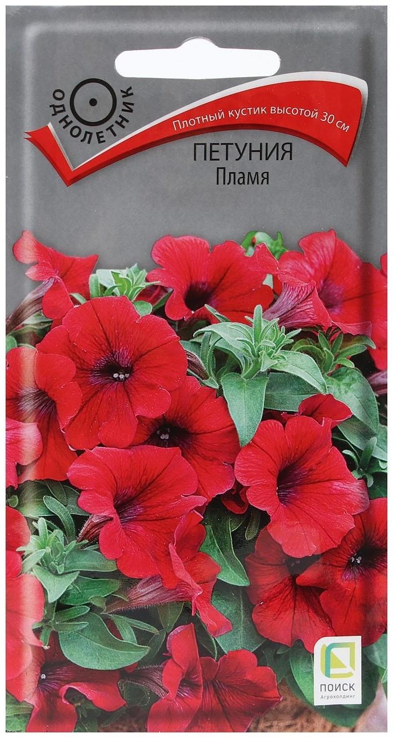 Семена цветов Петуния 