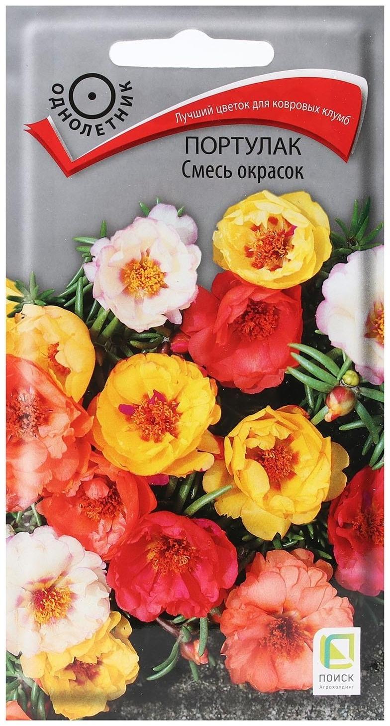 Семена цветов 